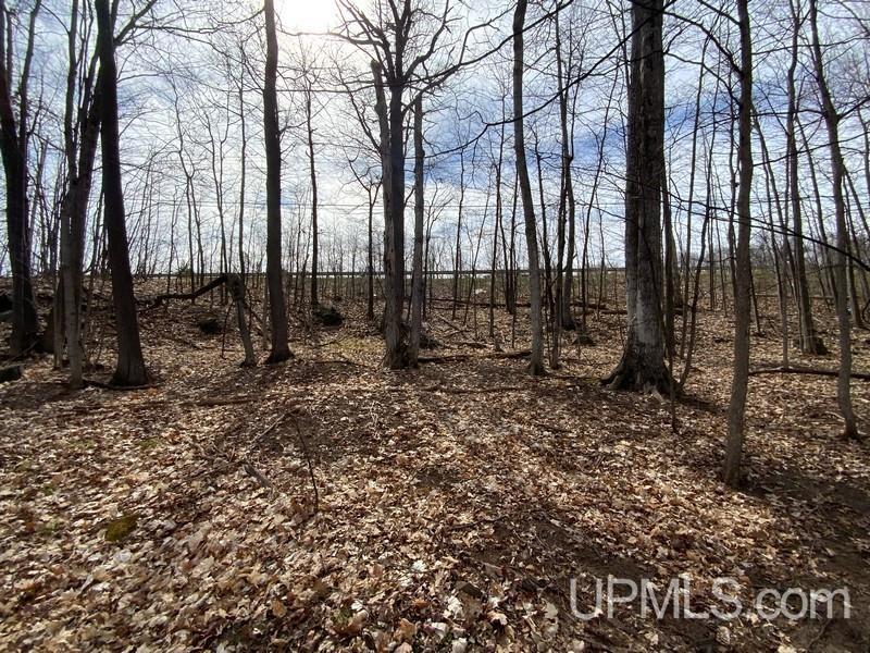 MLS 50155046 Large photo number 12 