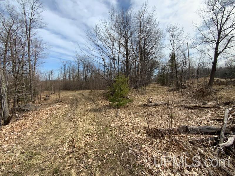 MLS 50155046 Large photo number 19 