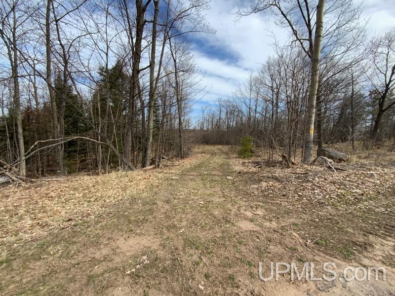 MLS 50155046 Large photo number 3 