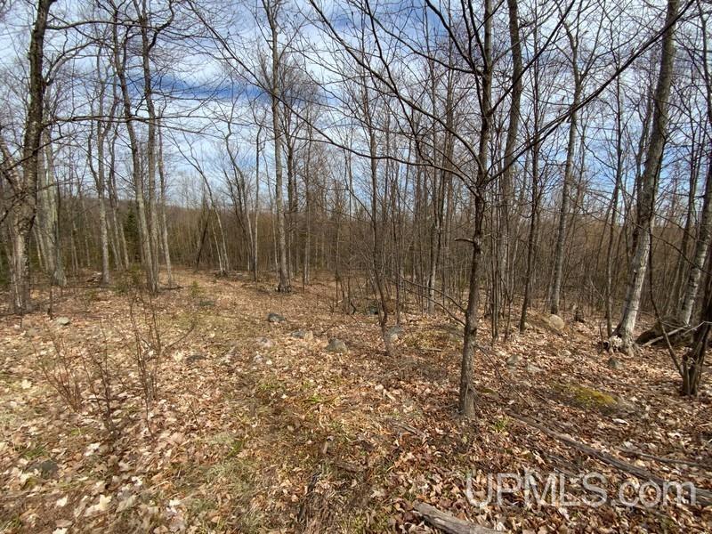MLS 50155046 Large photo number 21 