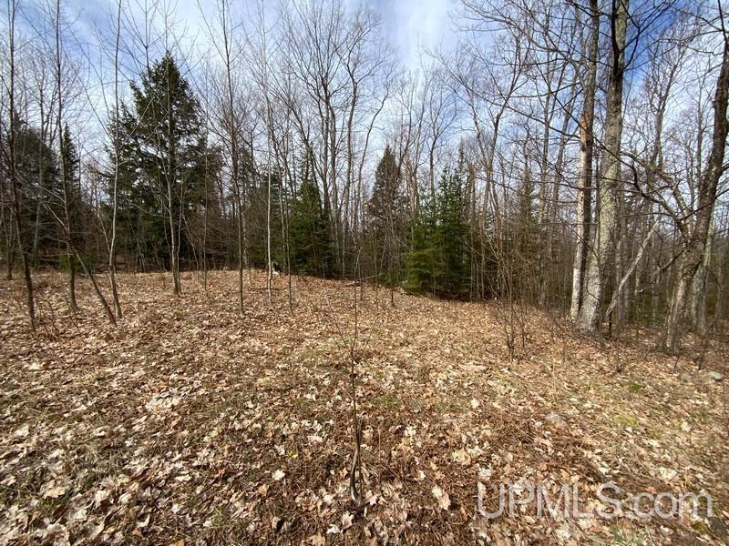MLS 50155046 Large photo number 22 