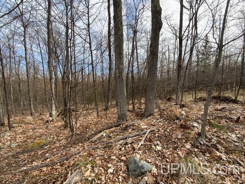 MLS 50155046 Large photo number 23 