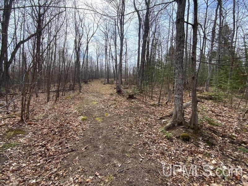 MLS 50155046 Large photo number 25 