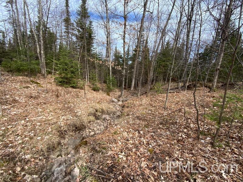 MLS 50155046 Large photo number 28 