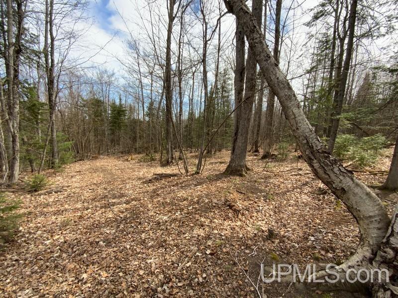 MLS 50155046 Large photo number 29 