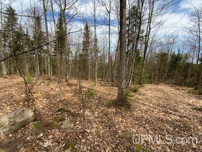 MLS 50155046 Large photo number 30 