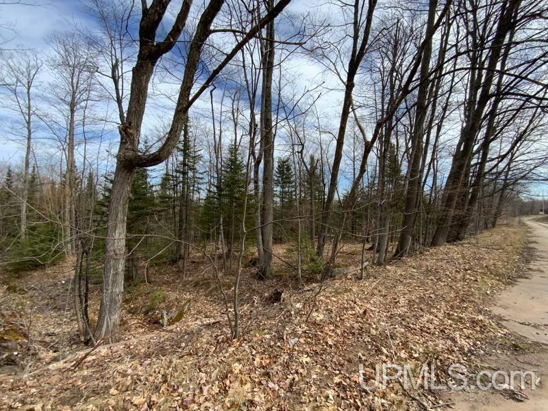 MLS 50155046 Large photo number 31 