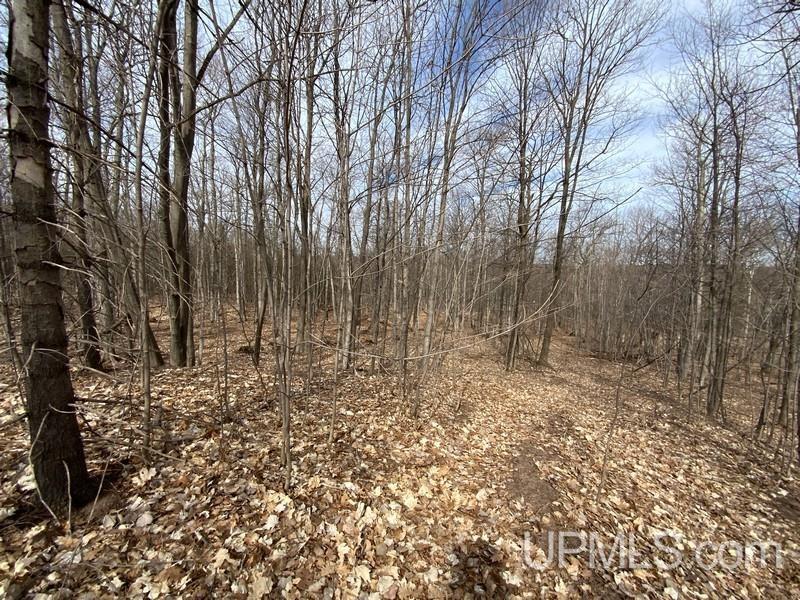 MLS 50155046 Large photo number 5 