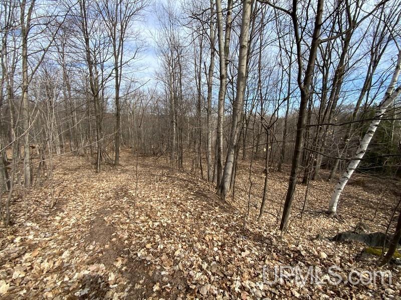 MLS 50155046 Large photo number 6 