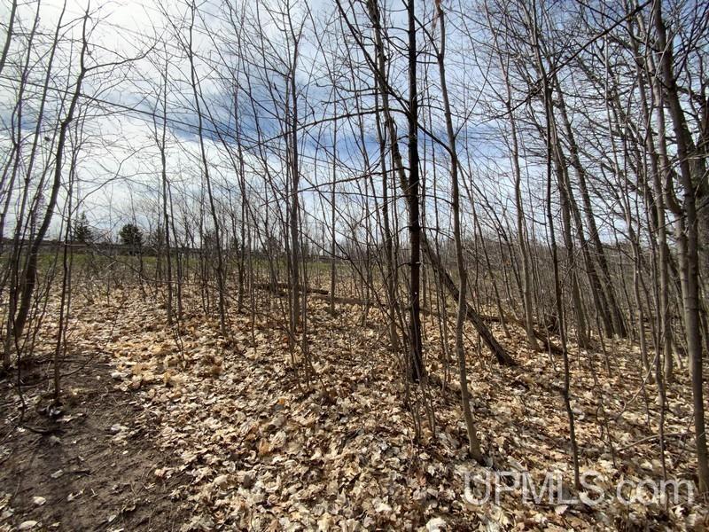 MLS 50155046 Large photo number 7 