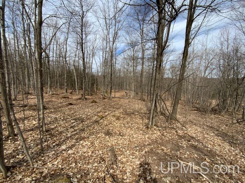 MLS 50155046 Large photo number 9 