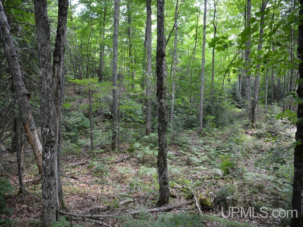 MLS 50155071 Large photo number 13 
