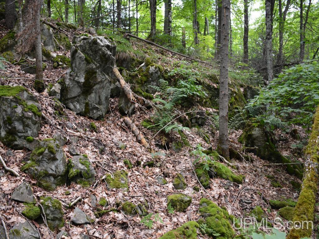 MLS 50155071 Large photo number 15 