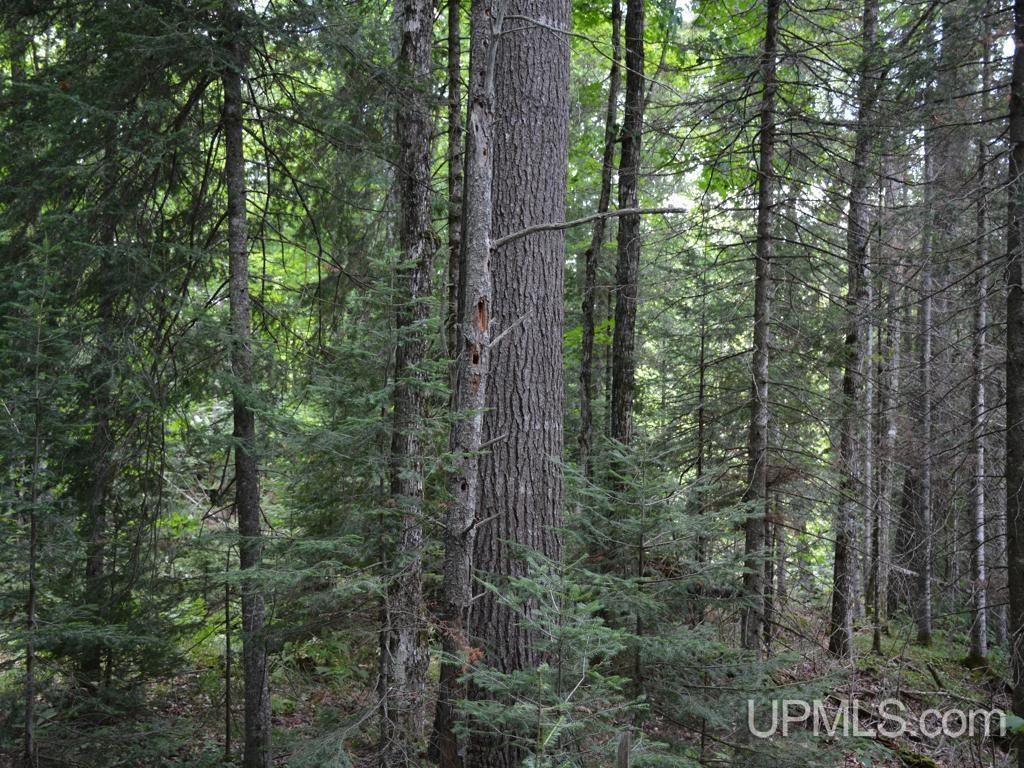 MLS 50155071 Large photo number 16 