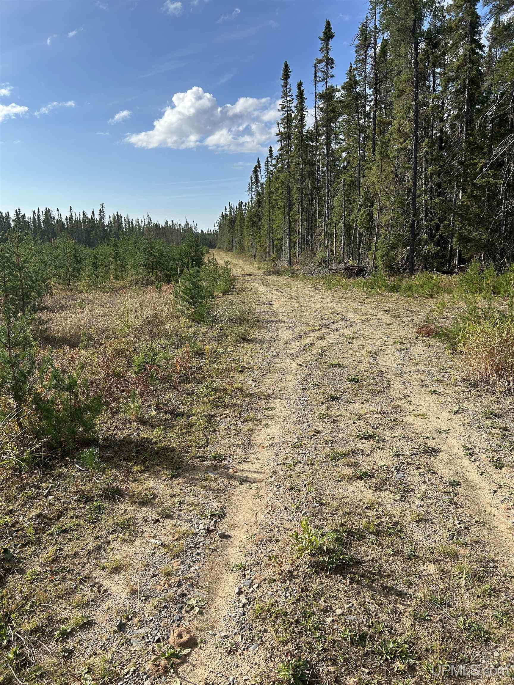 MLS 50155537 Large photo number 2 