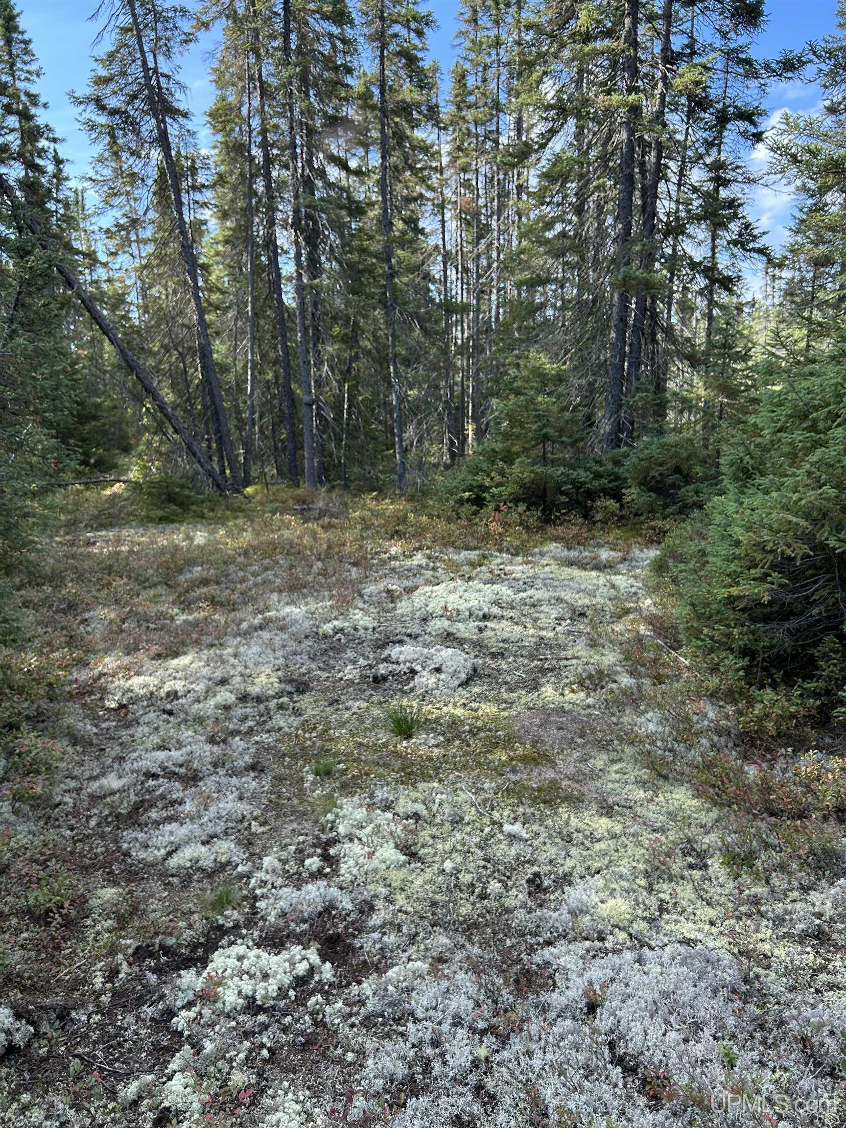 MLS 50155537 Large photo number 12 