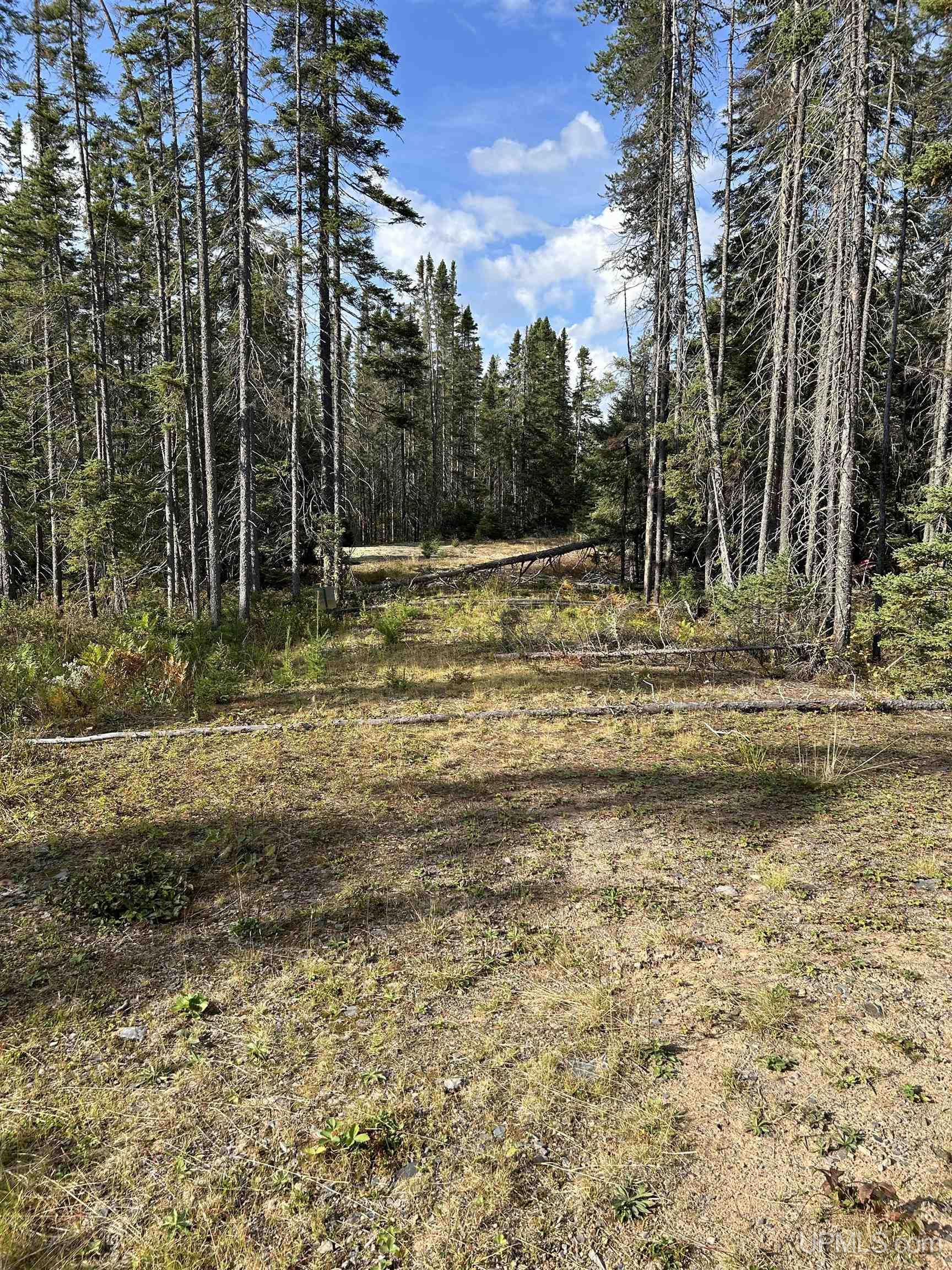 MLS 50155537 Large photo number 6 