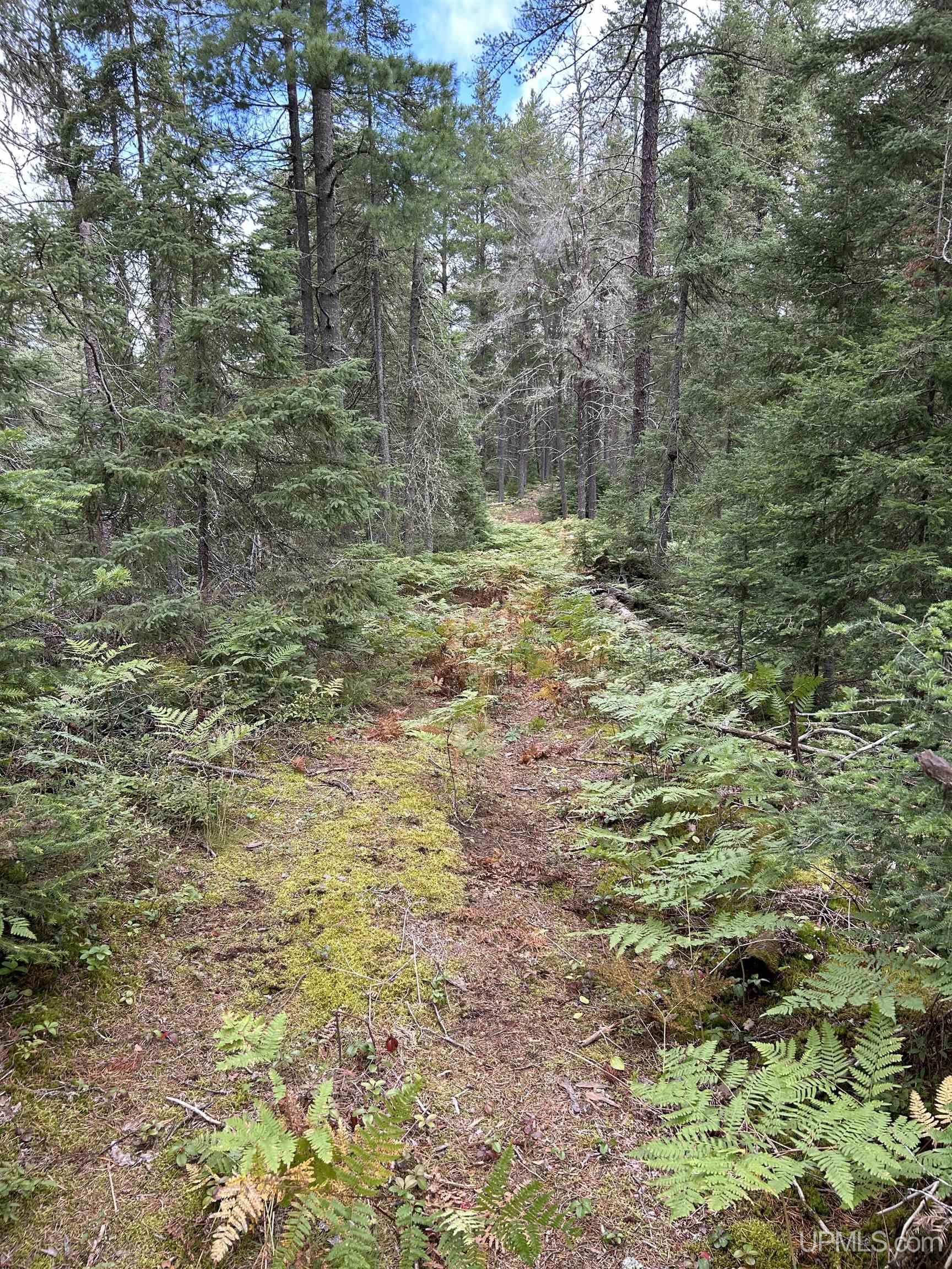 MLS 50155538 Large photo number 15 