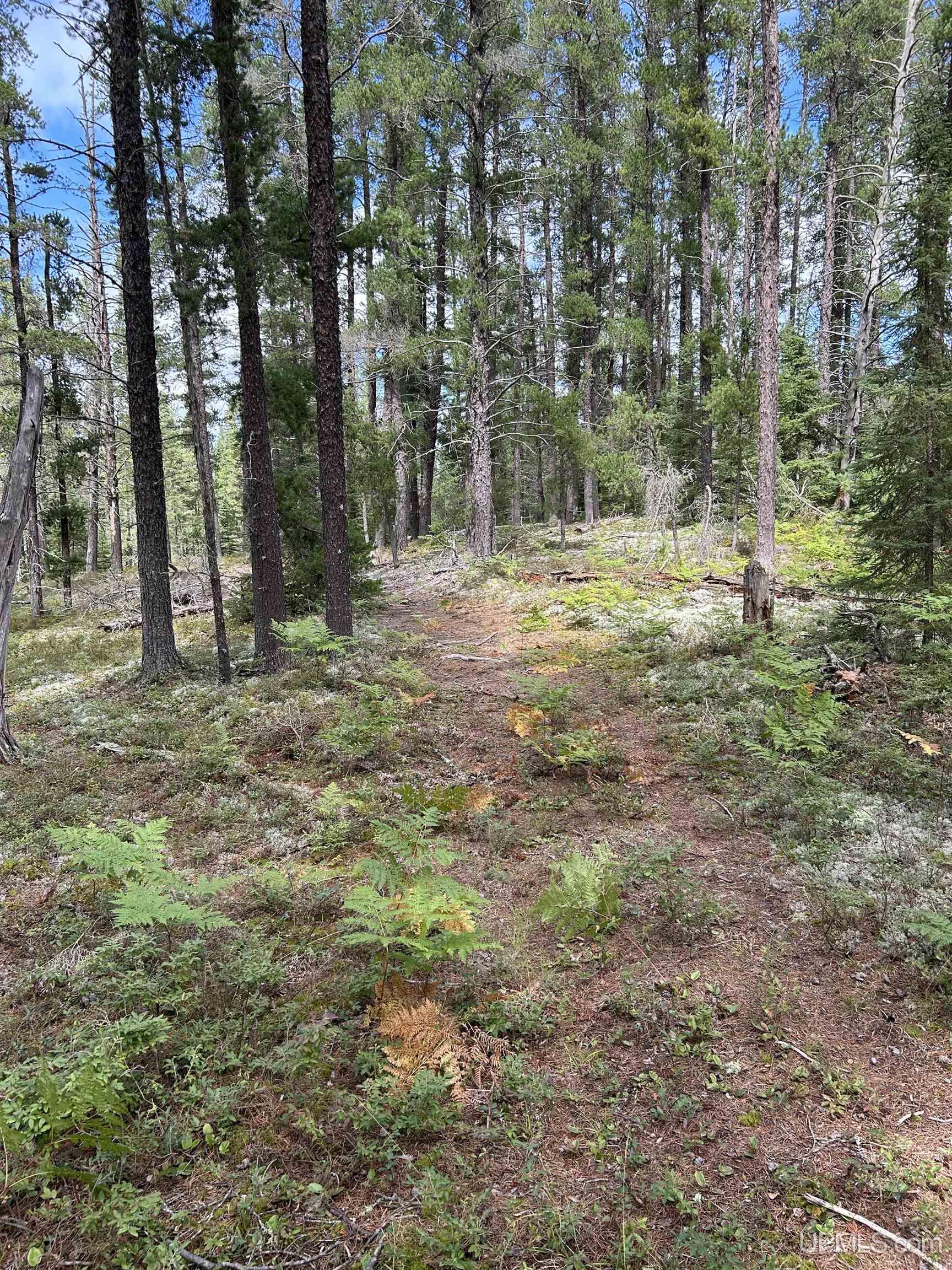 MLS 50155538 Large photo number 19 