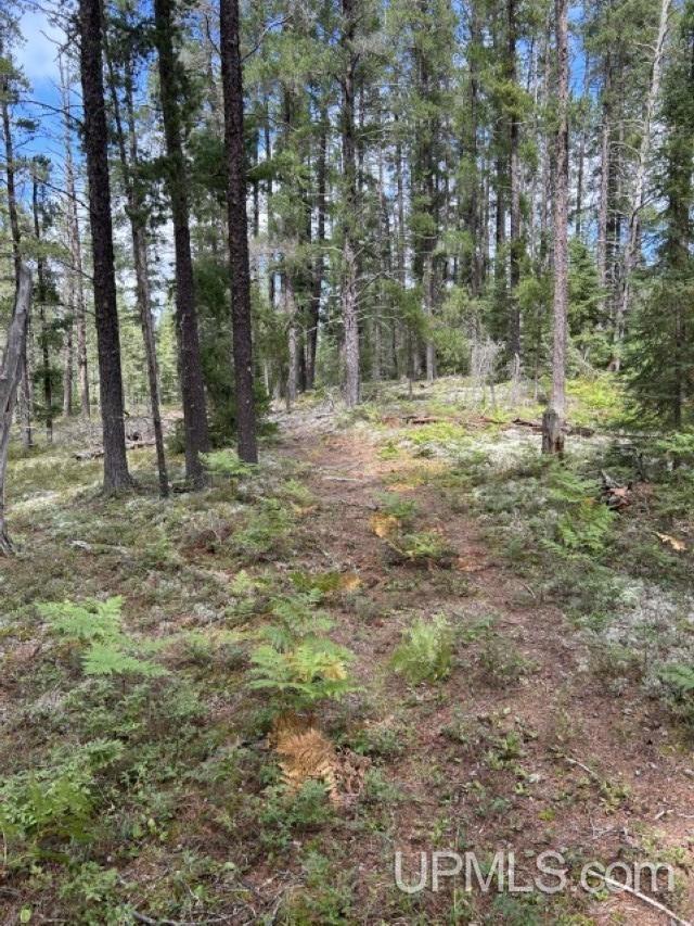 MLS 50155538 Large photo number 9 
