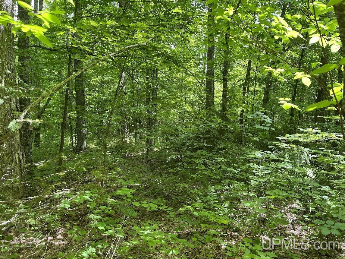 MLS 50156767 Large photo number 13 
