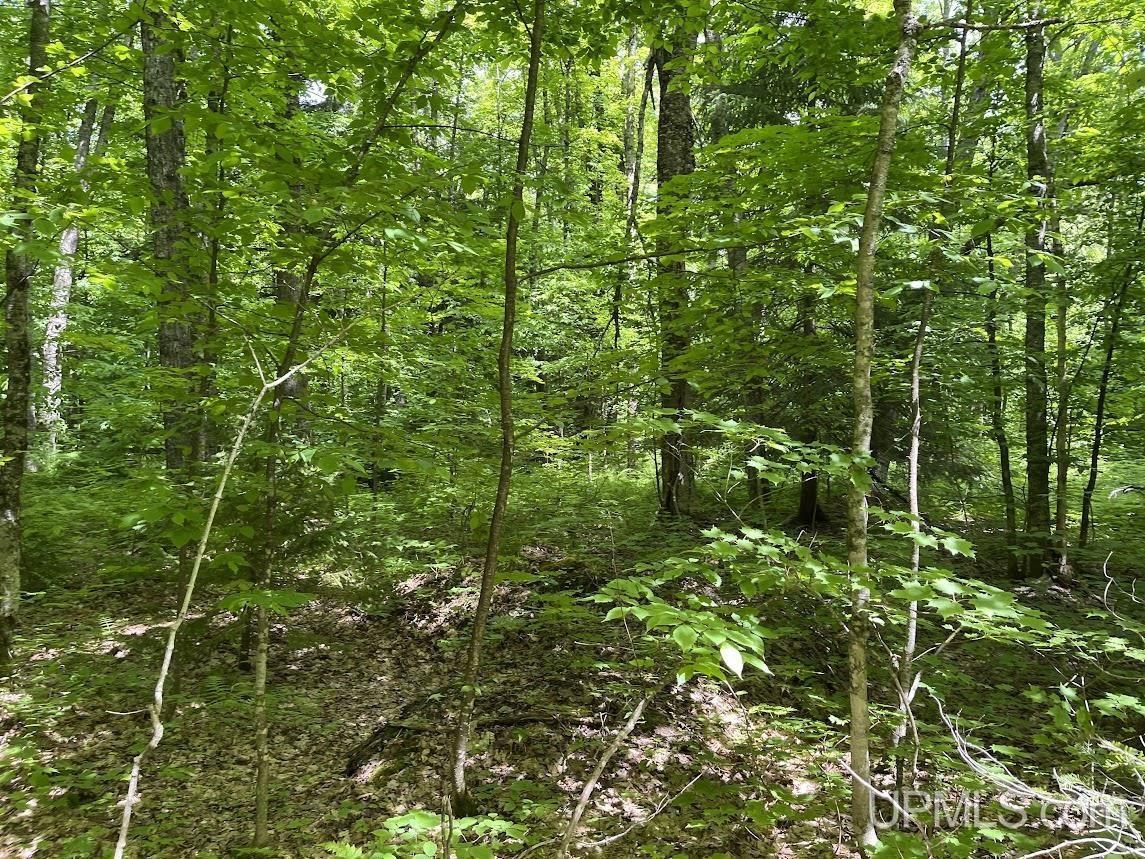 MLS 50156767 Large photo number 14 