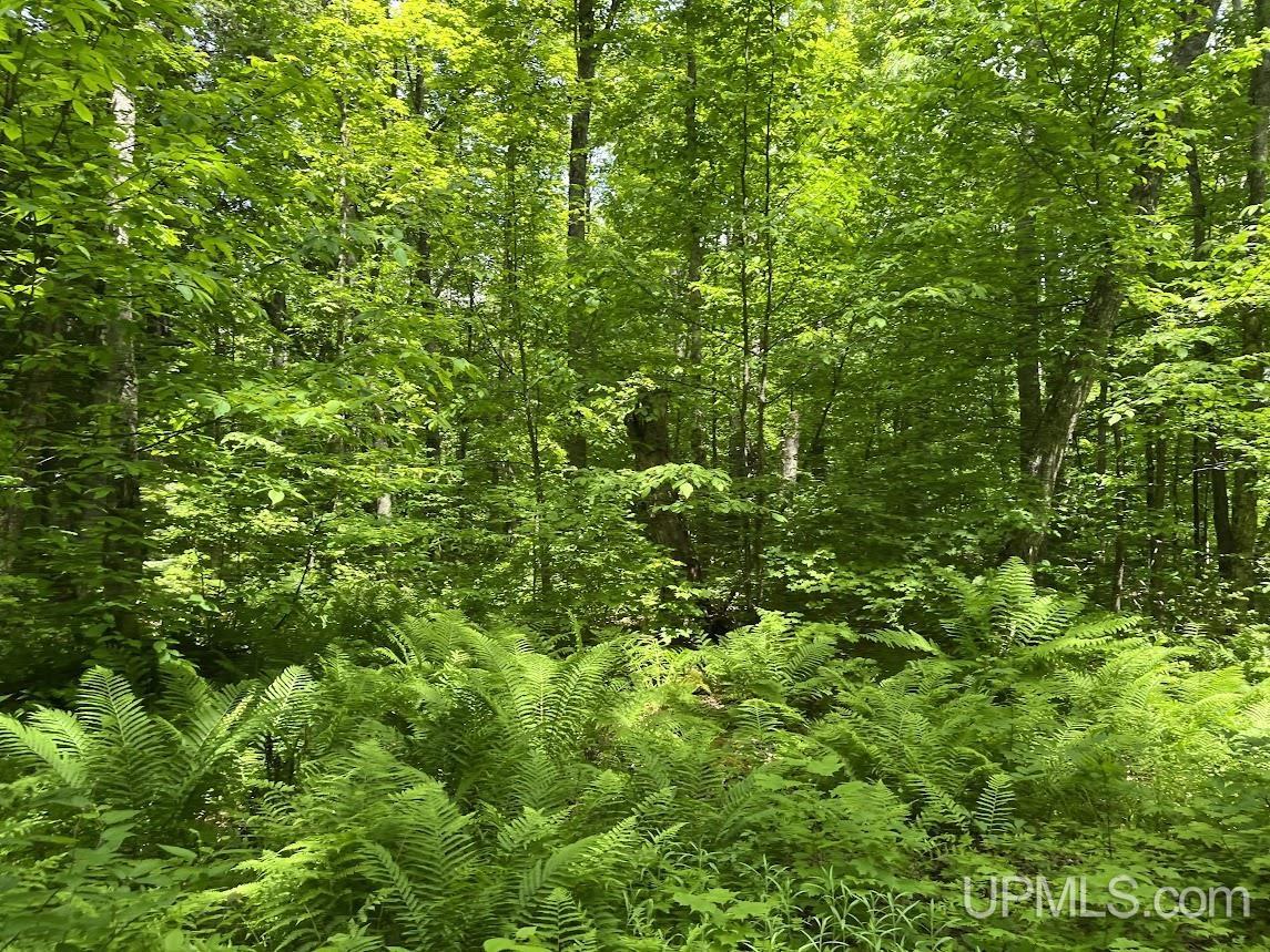 MLS 50156767 Large photo number 19 