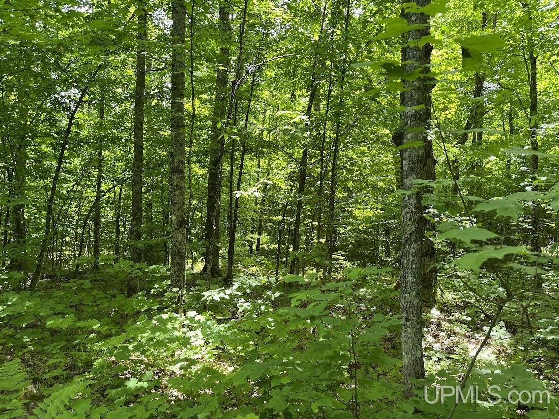 MLS 50156767 Large photo number 22 