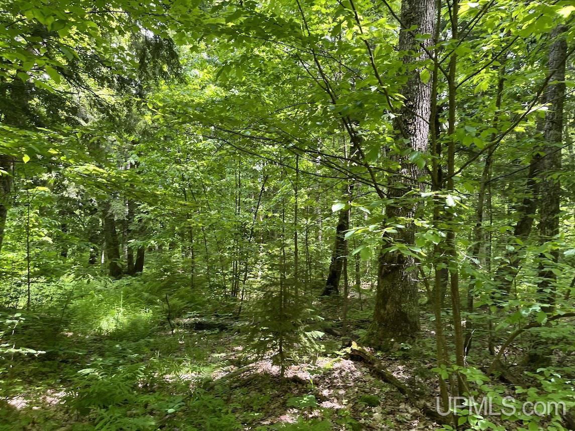 MLS 50156767 Large photo number 24 