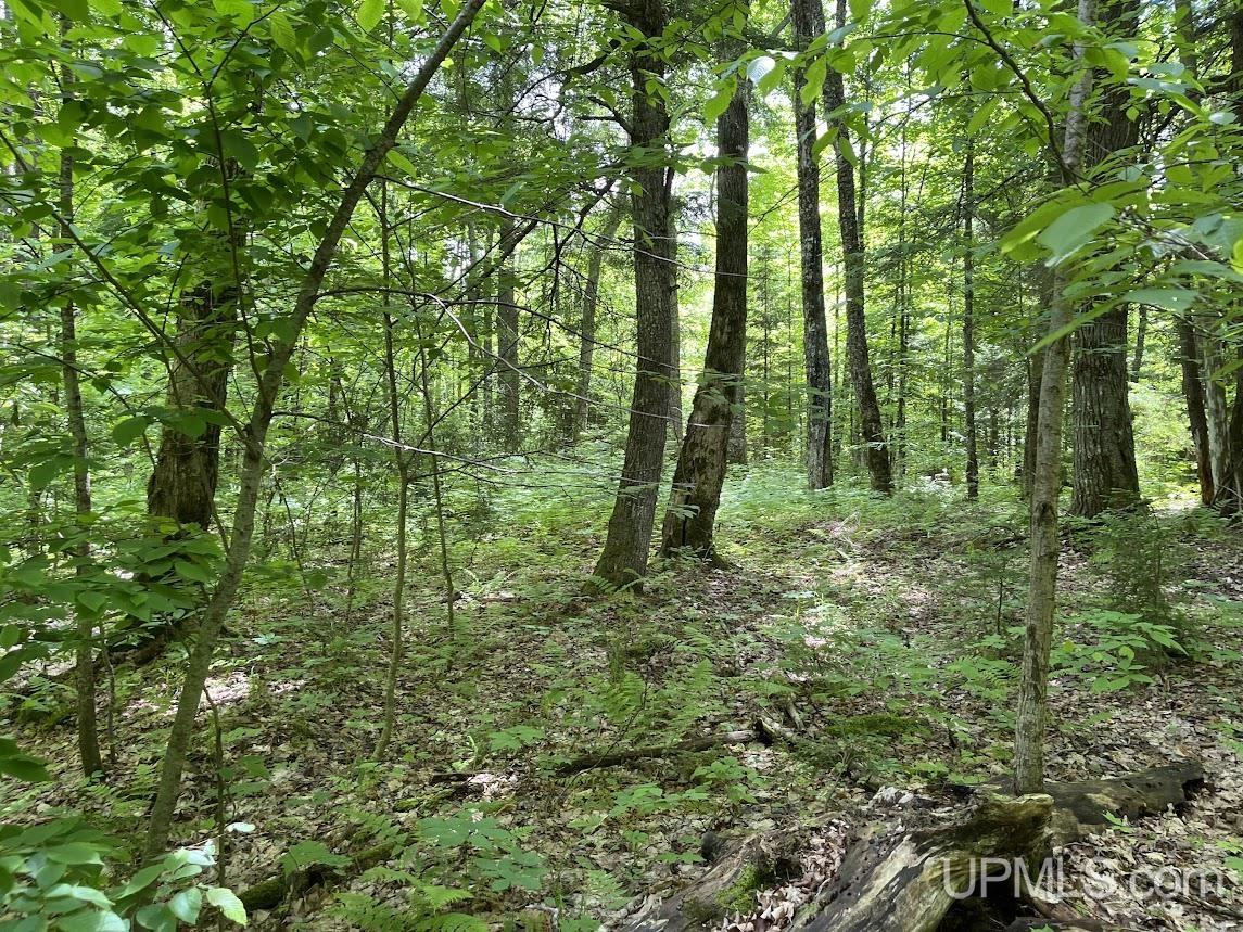 MLS 50156767 Large photo number 26 
