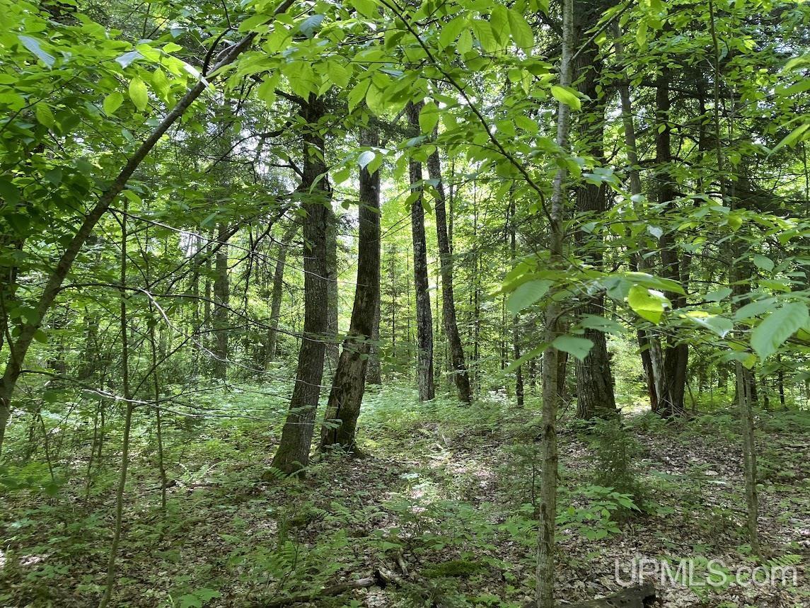 MLS 50156767 Large photo number 27 