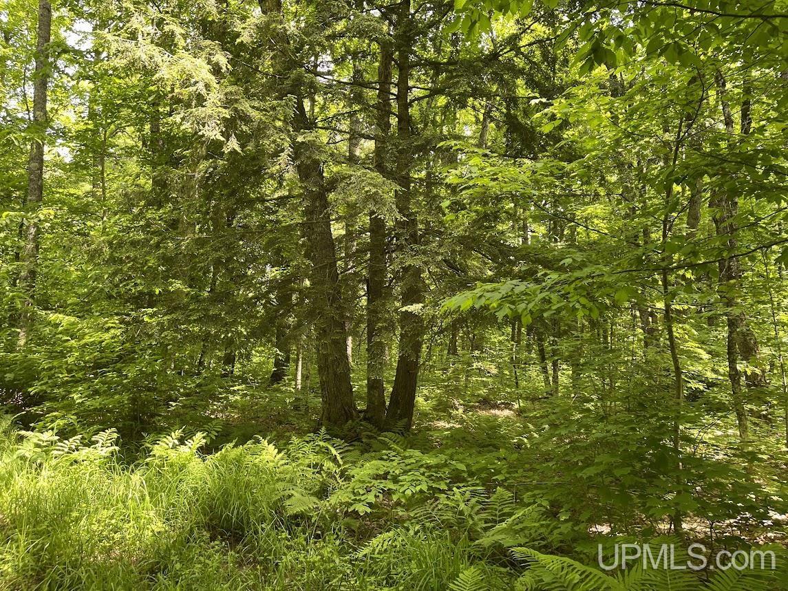 MLS 50156767 Large photo number 28 