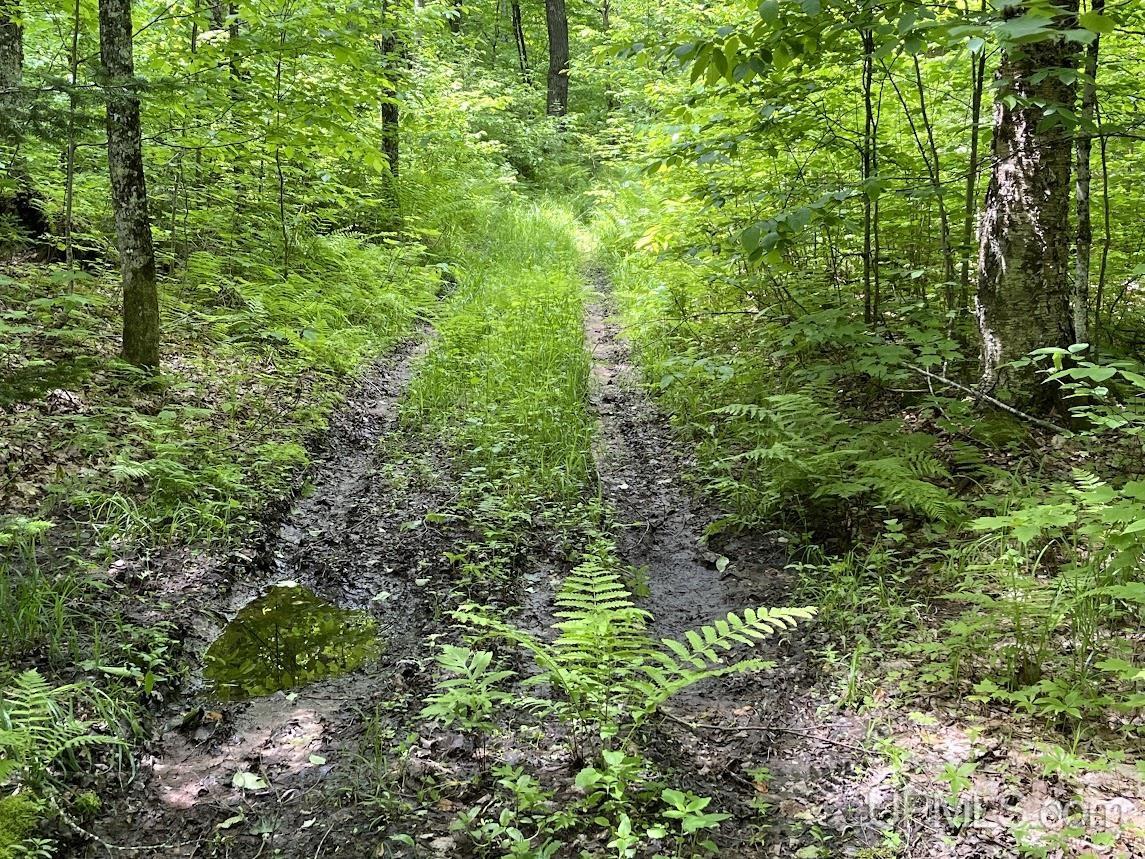 MLS 50156767 Large photo number 36 