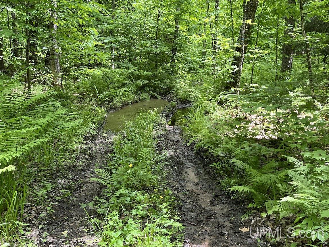 MLS 50156767 Large photo number 37 