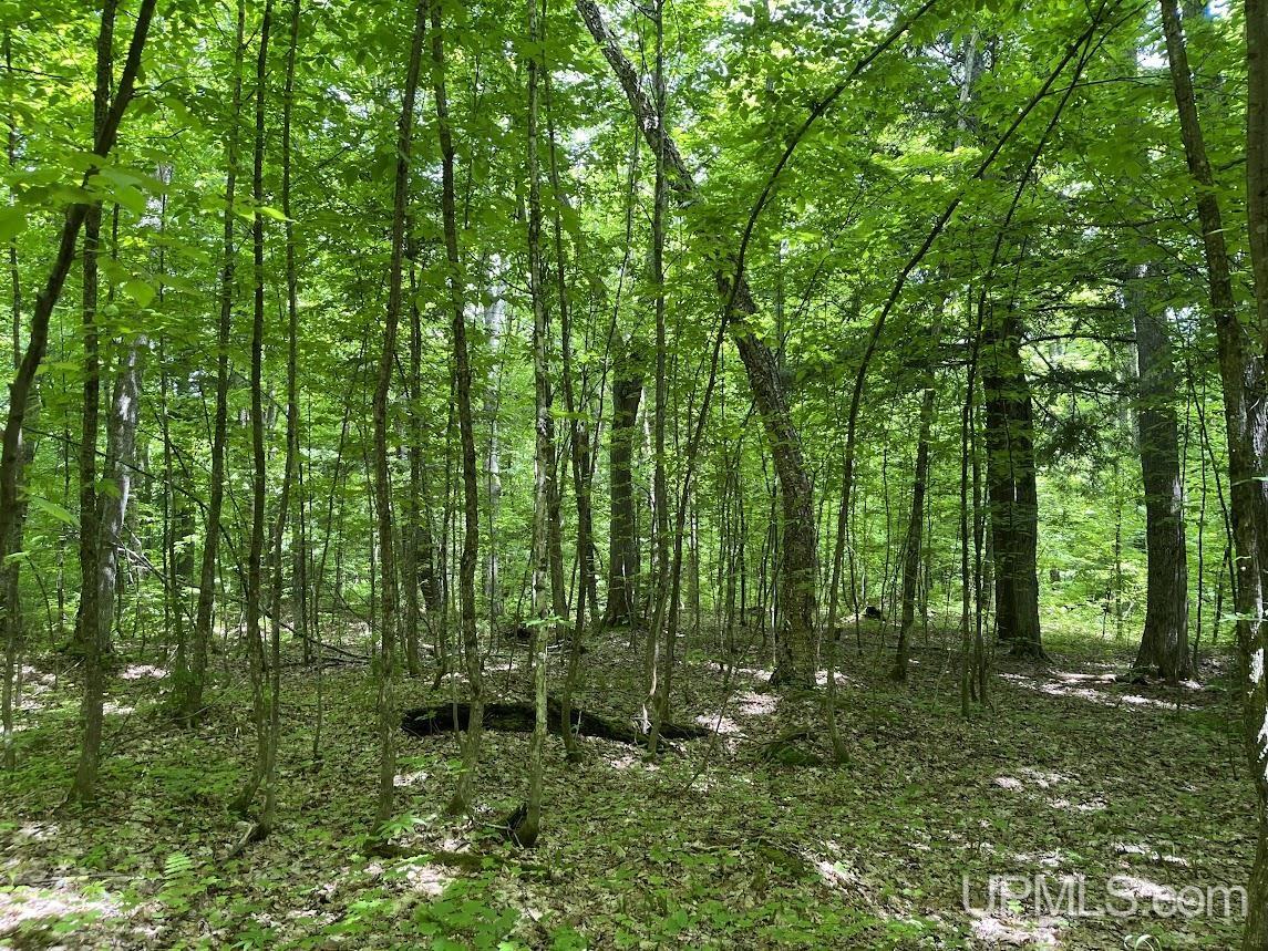 MLS 50156767 Large photo number 5 