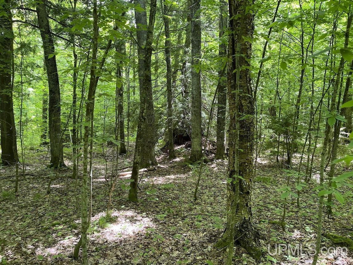 MLS 50156767 Large photo number 6 