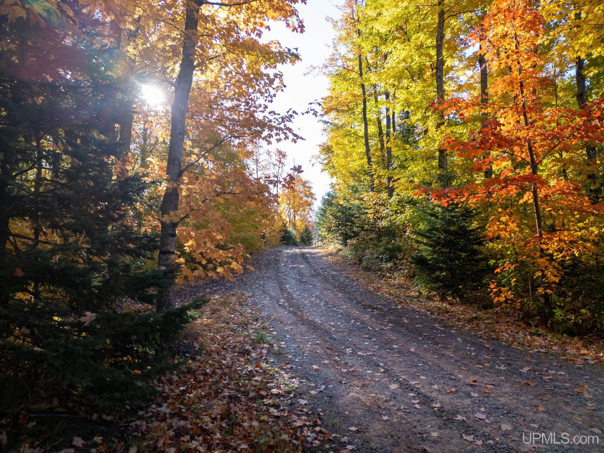 MLS 50156972 Large photo number 82 