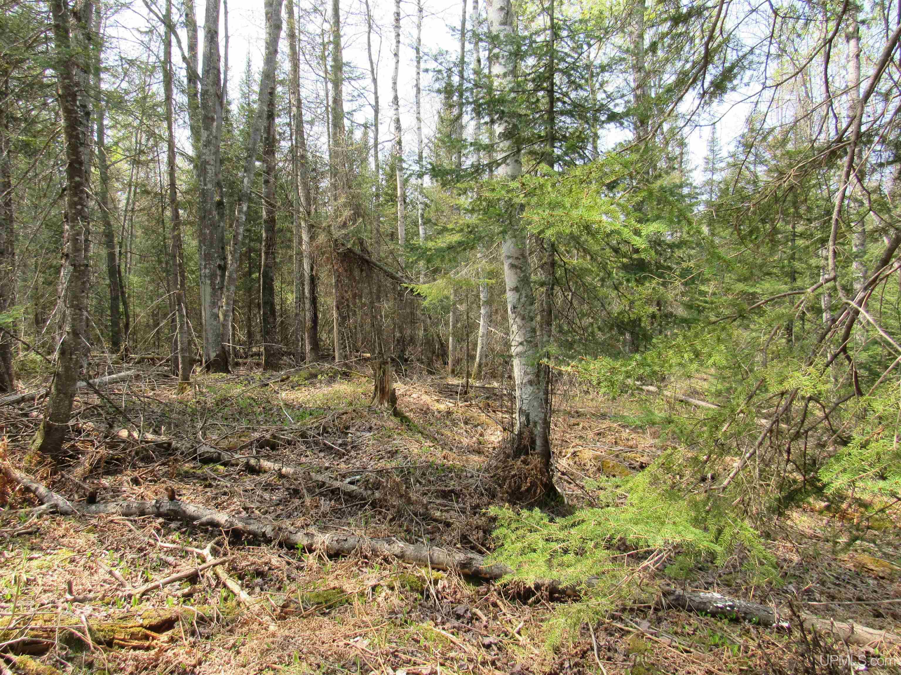 MLS 50157048 Large photo number 13 
