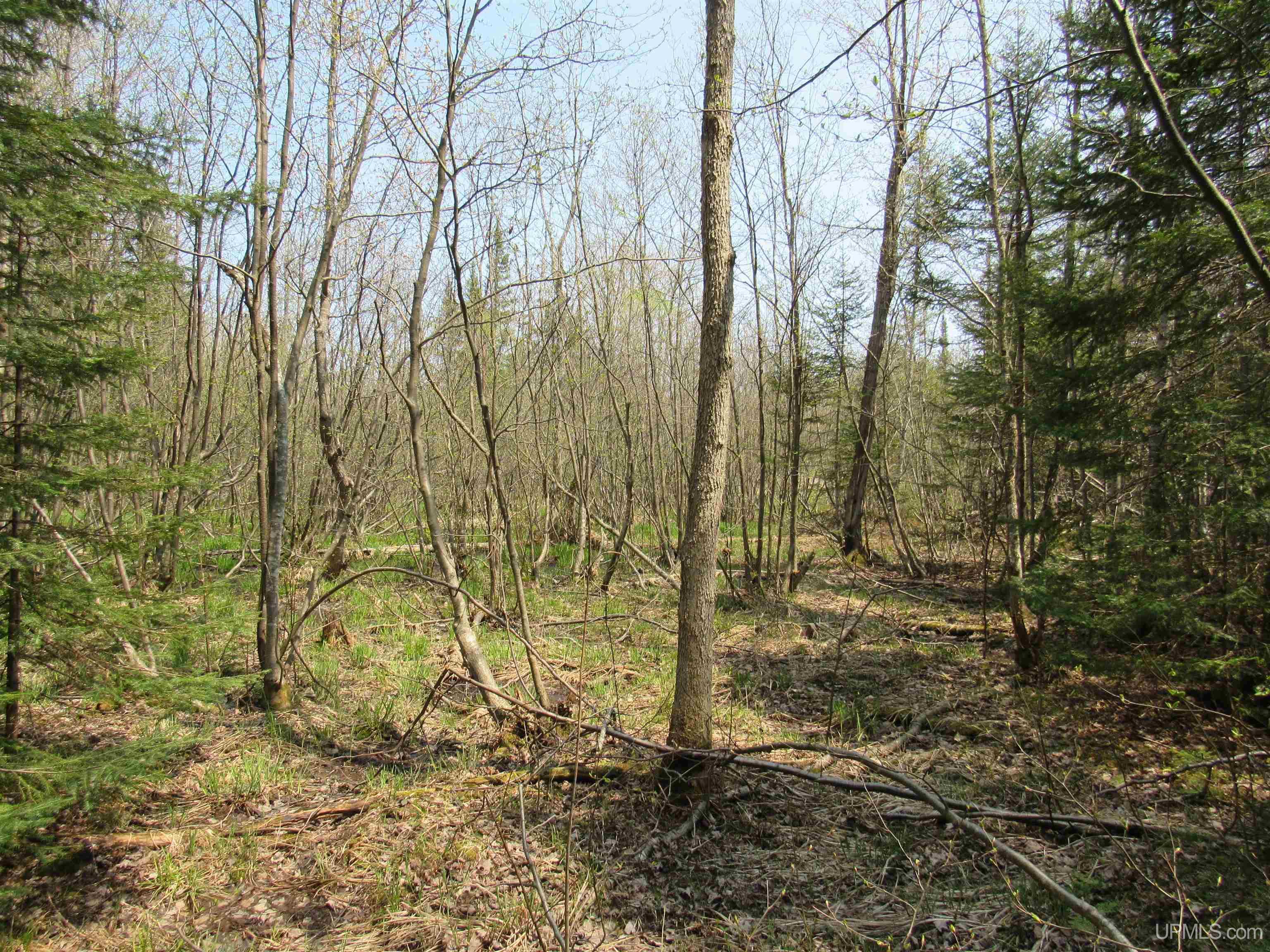 MLS 50157048 Large photo number 14 