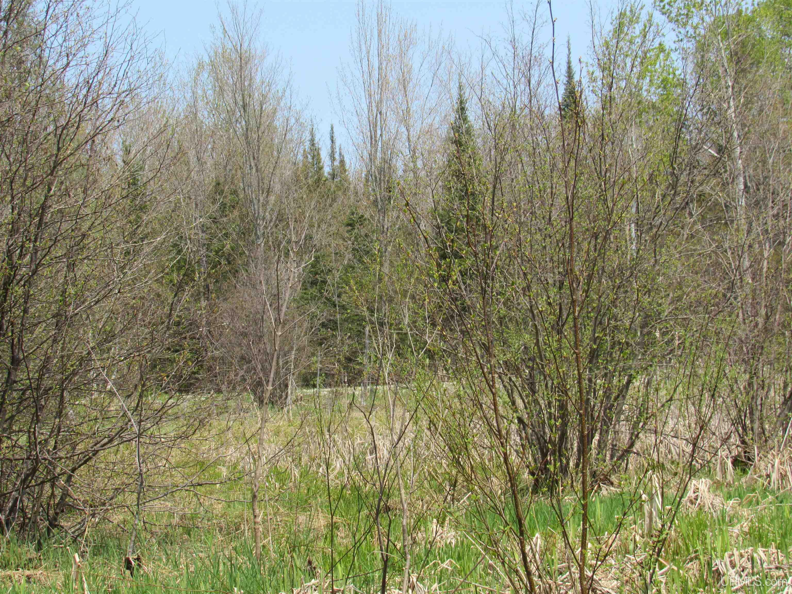 MLS 50157048 Large photo number 15 