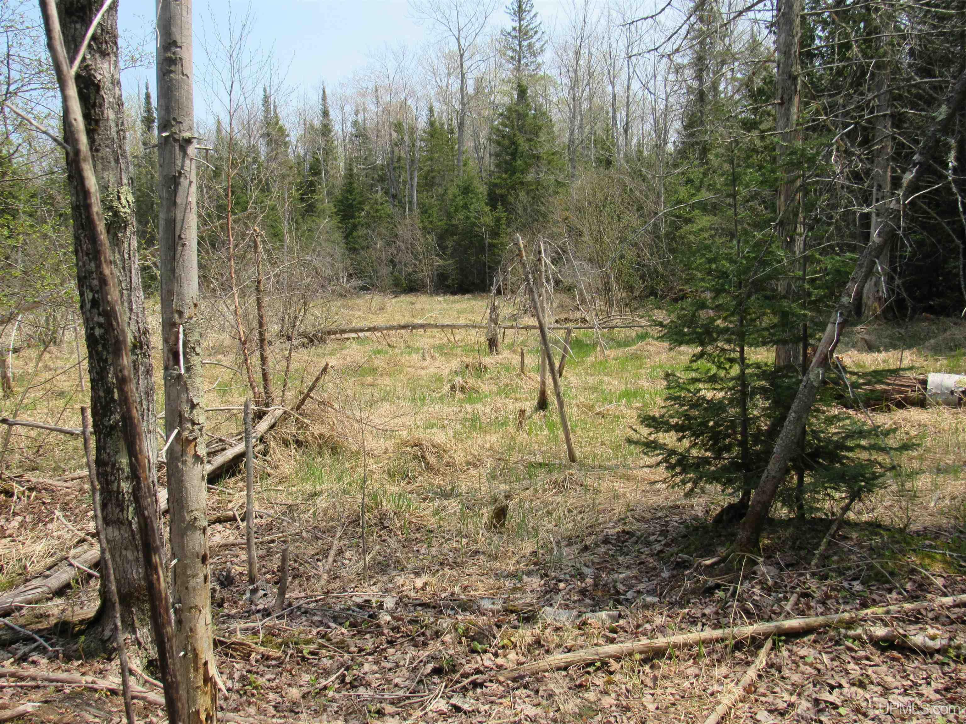 MLS 50157048 Large photo number 16 