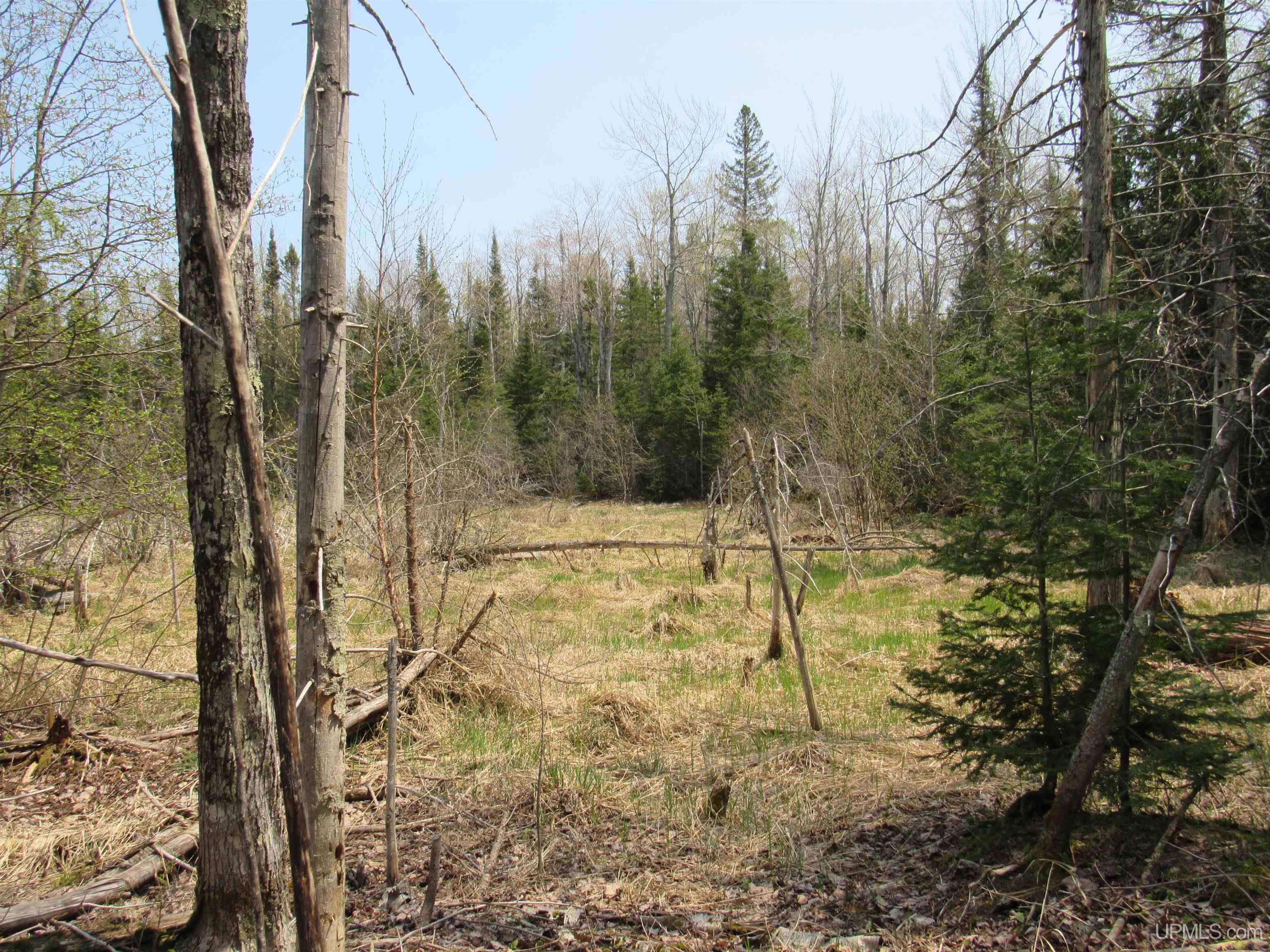 MLS 50157048 Large photo number 17 