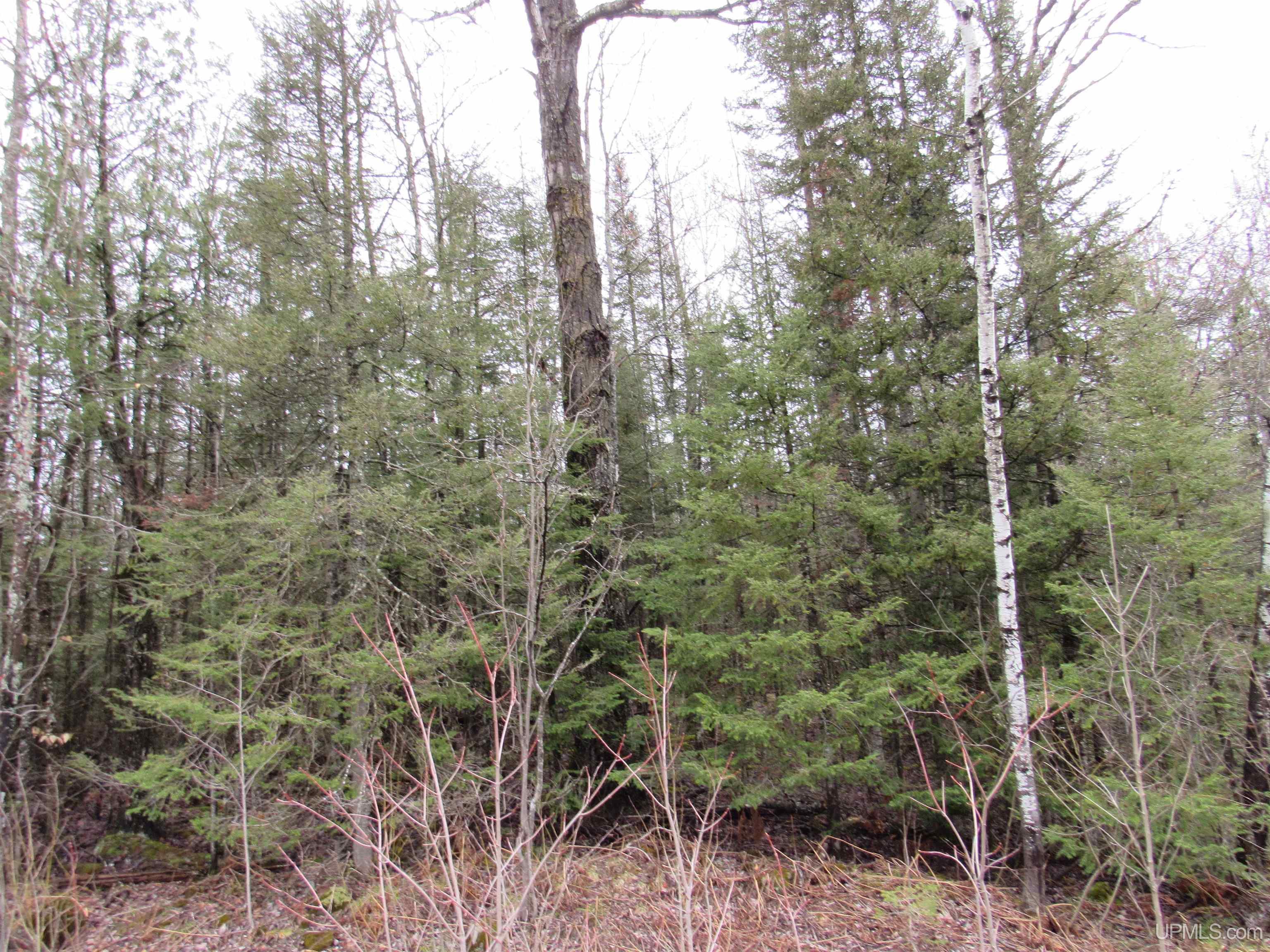 MLS 50157048 Large photo number 20 