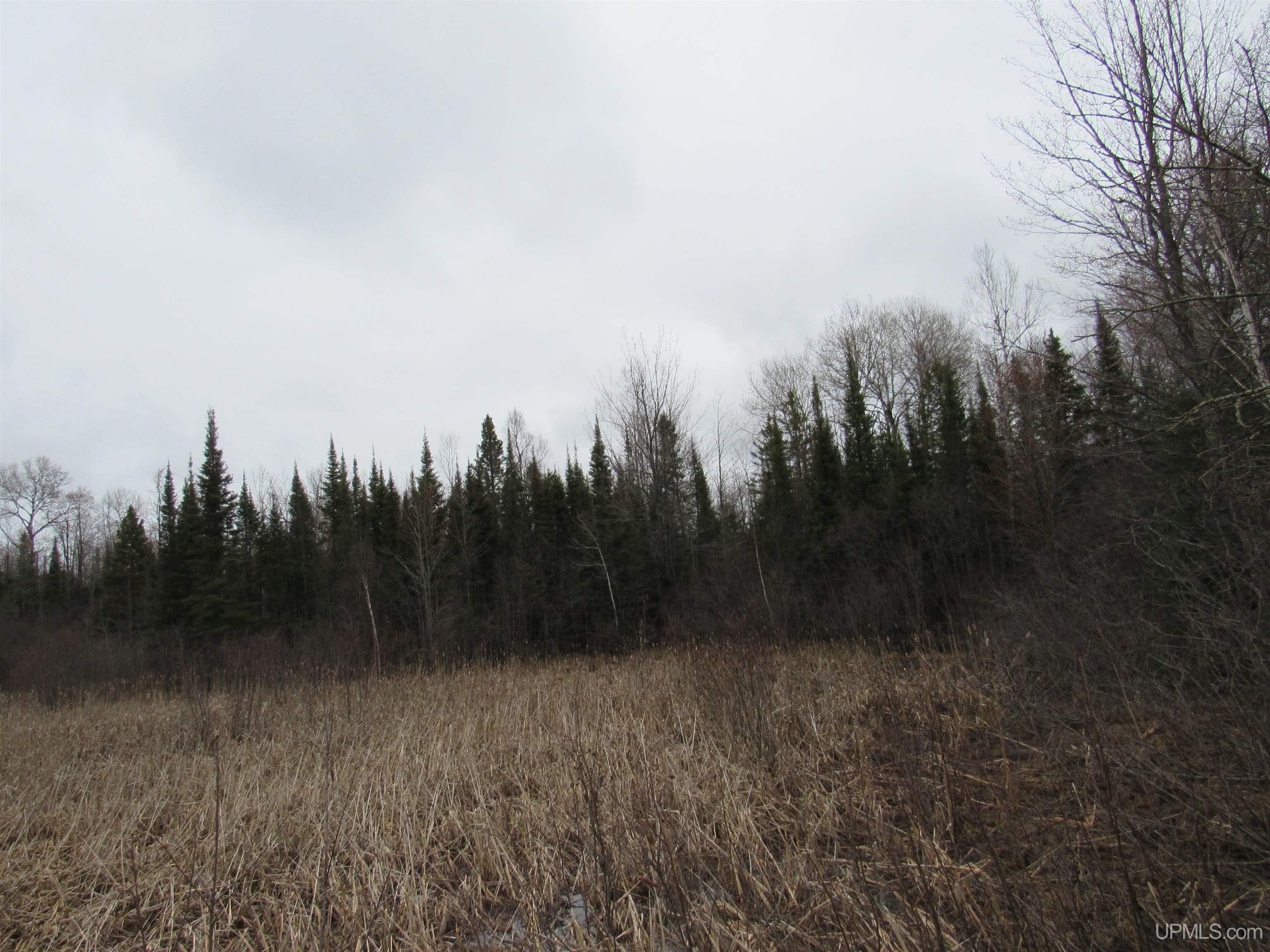 MLS 50157048 Large photo number 4 