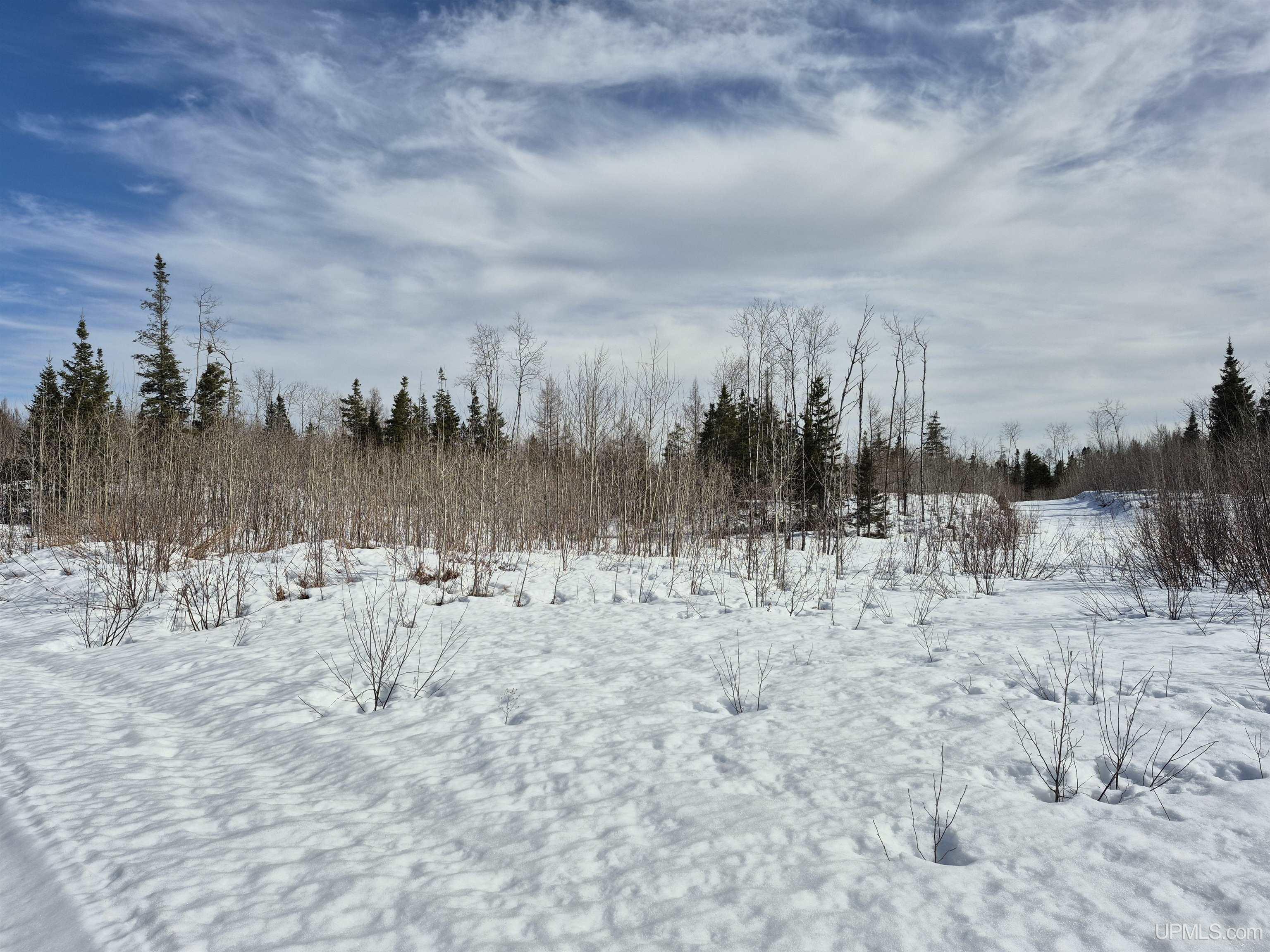 80 acres 18 Road, Republic, MI, 49879