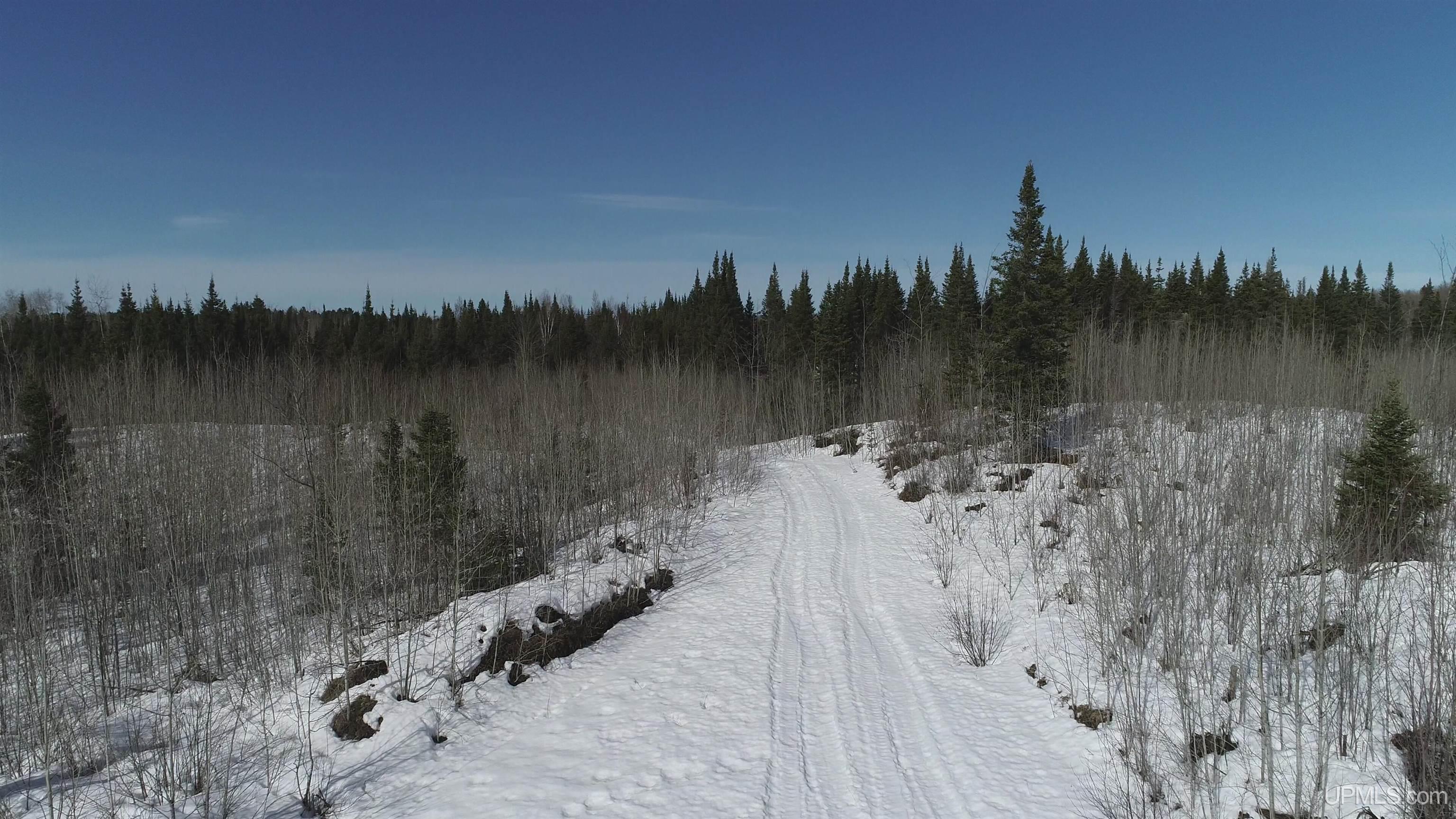 80 acres 18 Road, Republic, MI, 49879