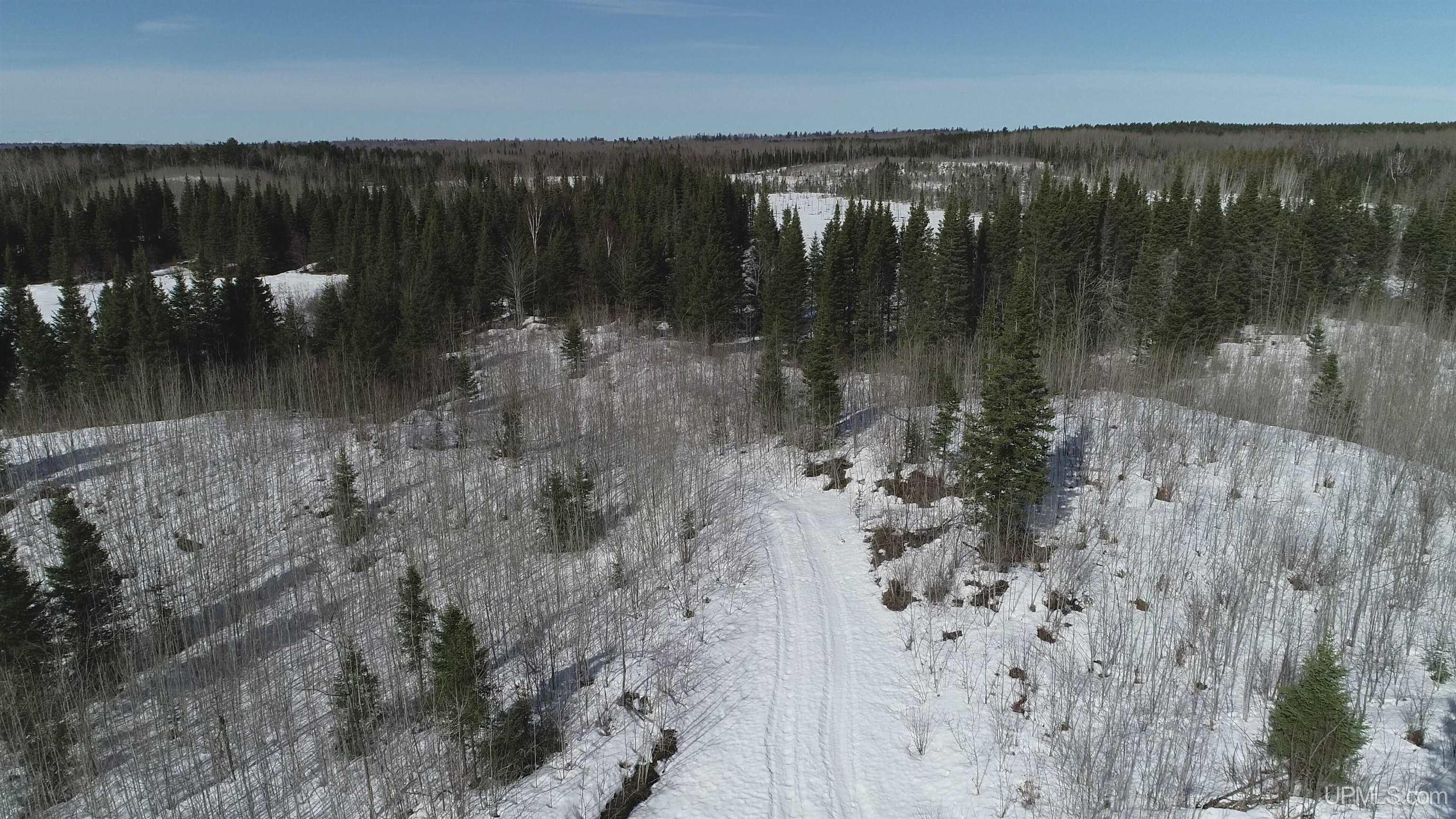 80 acres 18 Road, Republic, MI, 49879