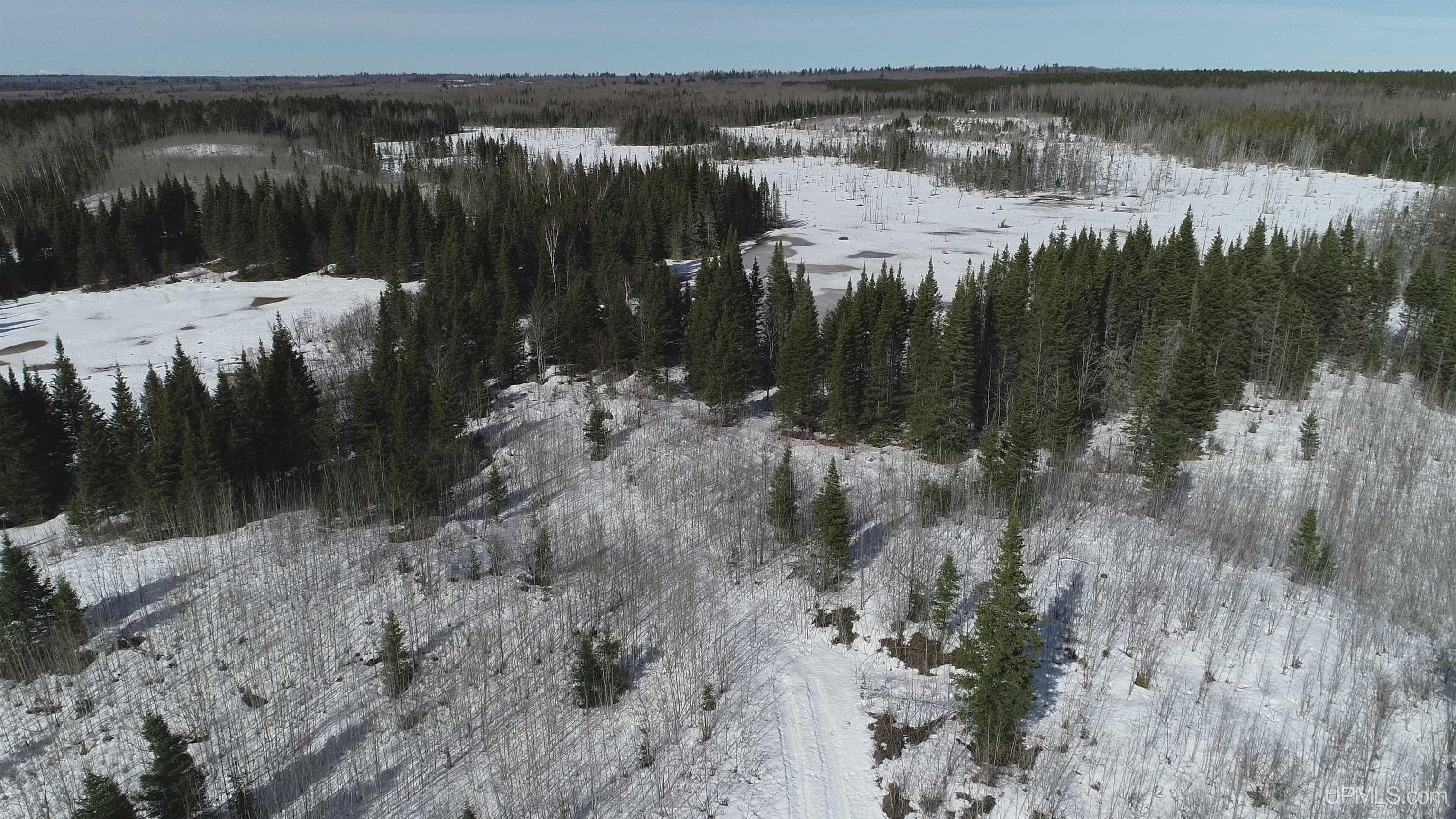 80 acres 18 Road, Republic, MI, 49879