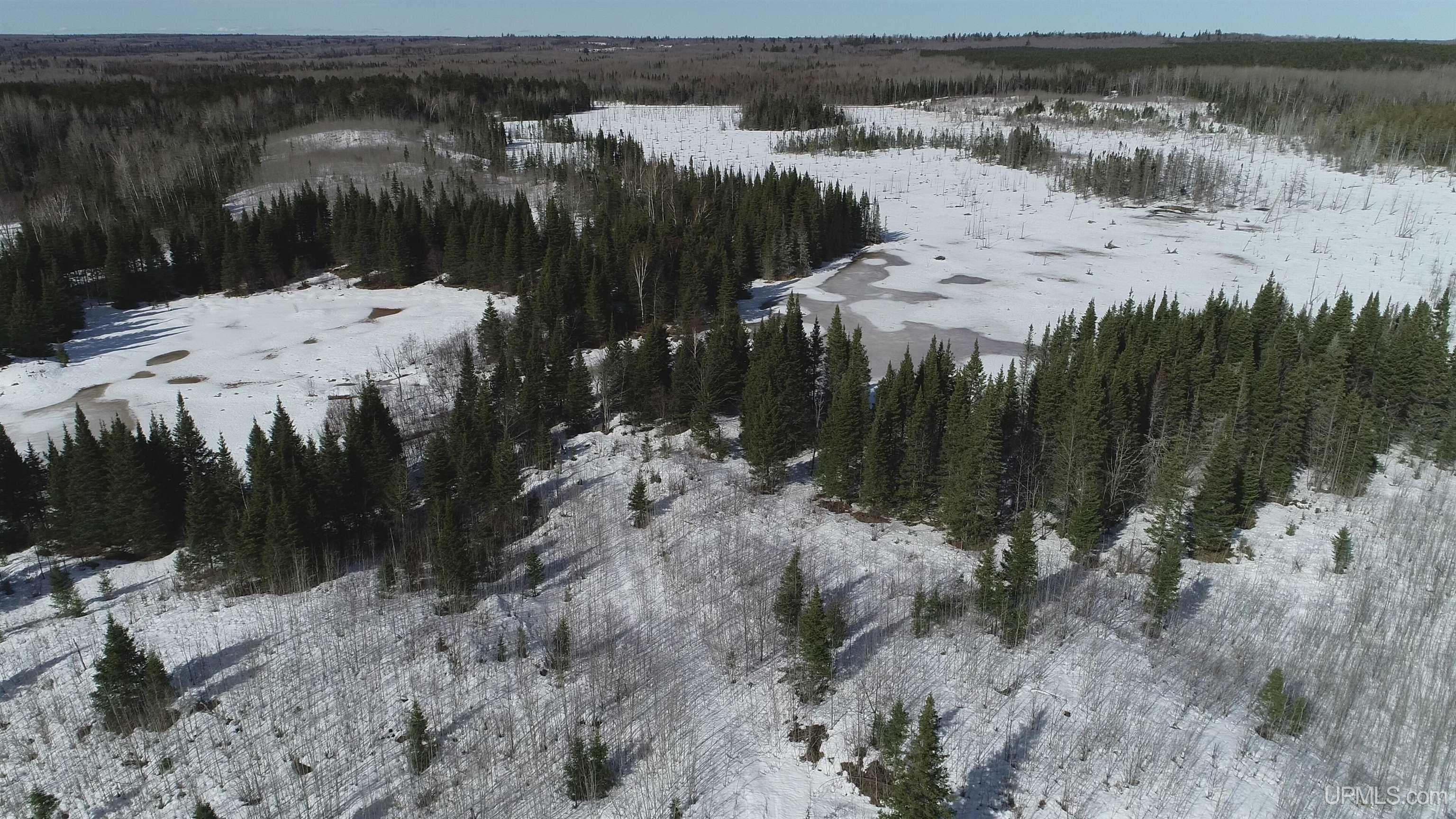 80 acres 18 Road, Republic, MI, 49879