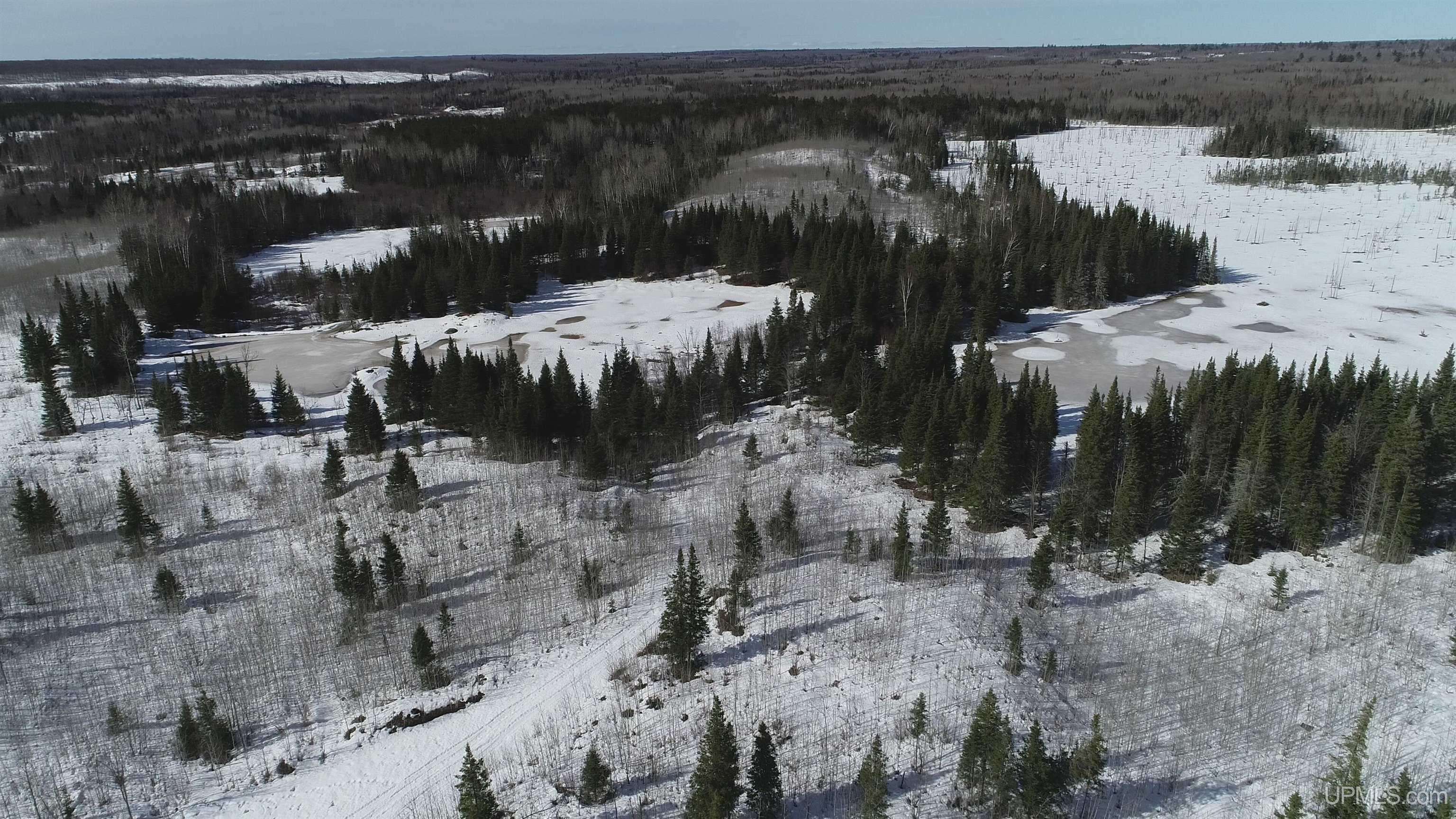 80 acres 18 Road, Republic, MI, 49879